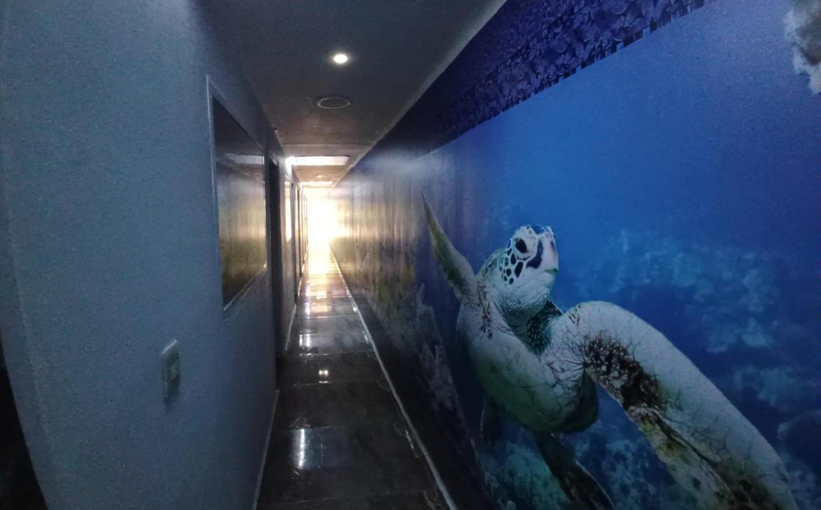 Hotel Dmauro Cartagena Kültér fotó